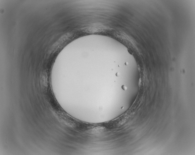 X0000069360210200606021501