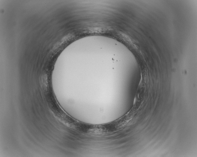 X0000069360211200606021501