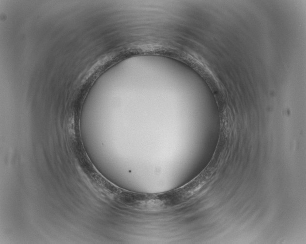 X0000069360212200606021501