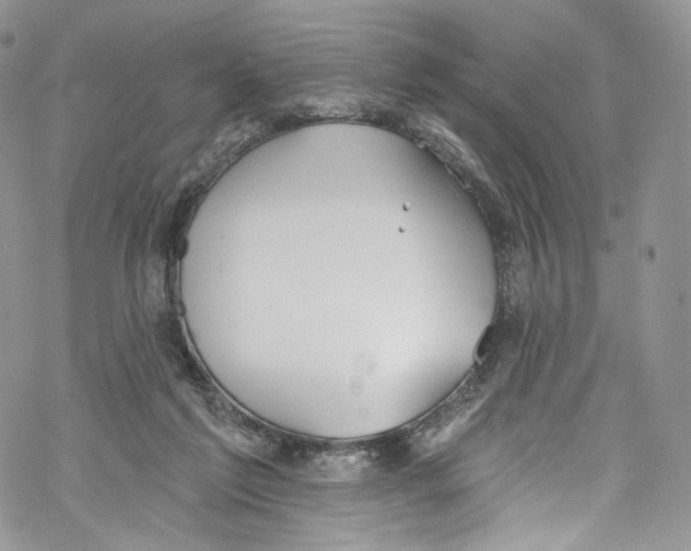 X0000069360213200606021501