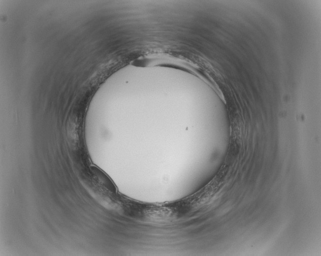 X0000069360215200606021501