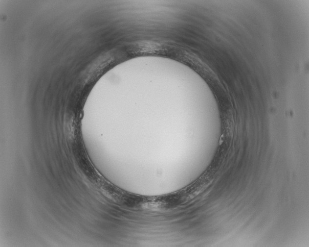 X0000069360216200606021501