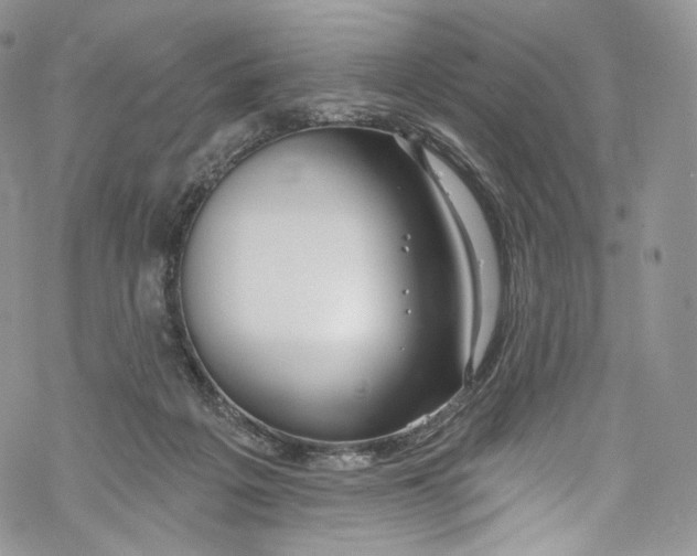 X0000069360217200606021501