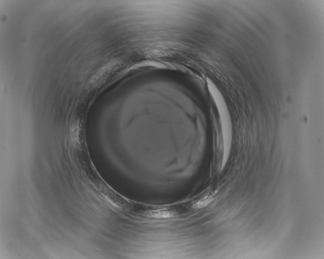 X0000069360219200606021501