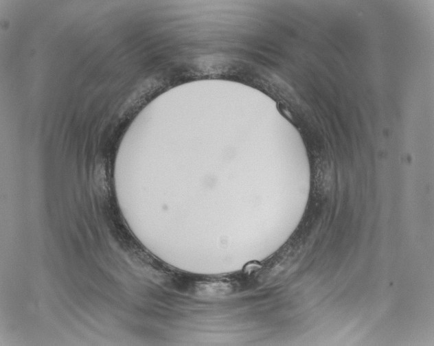 X0000069360220200606021501