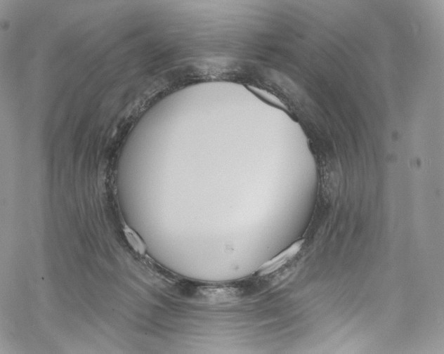 X0000069360221200606021501