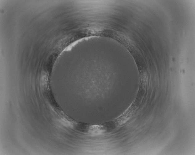 X0000069360222200606021501