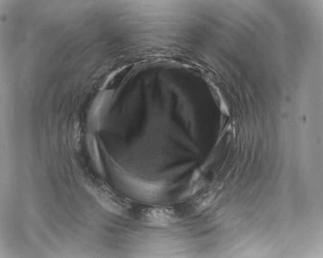 X0000069360223200606021501