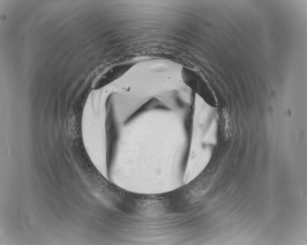 X0000069360224200606021501