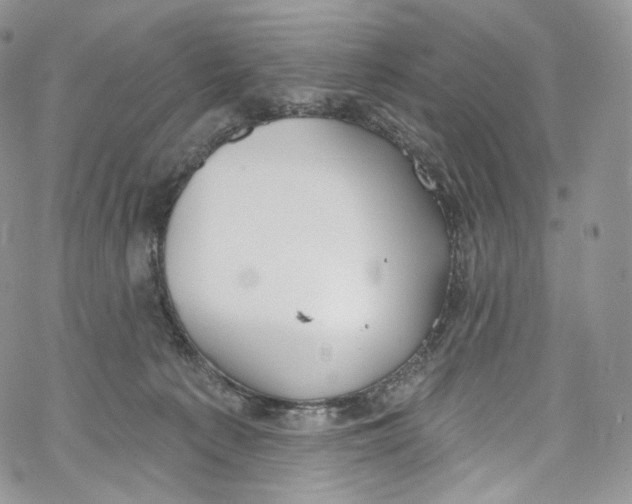 X0000069360225200606021501