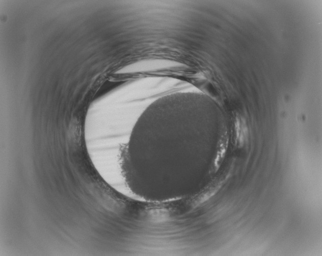 X0000069360228200606021501