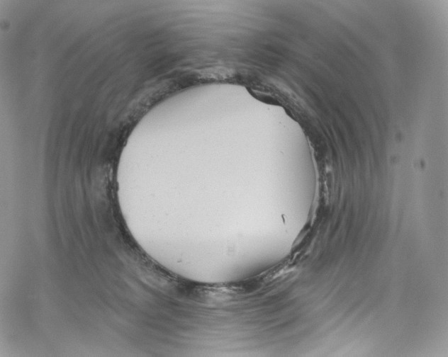 X0000069360229200606021501