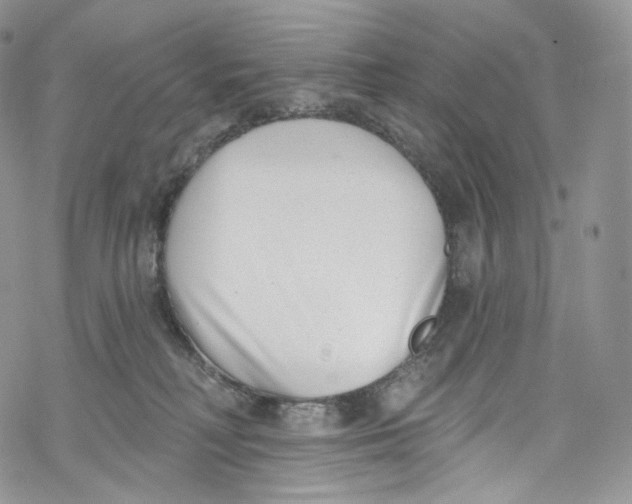 X0000069360230200606021501