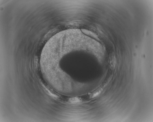 X0000069360231200606021501