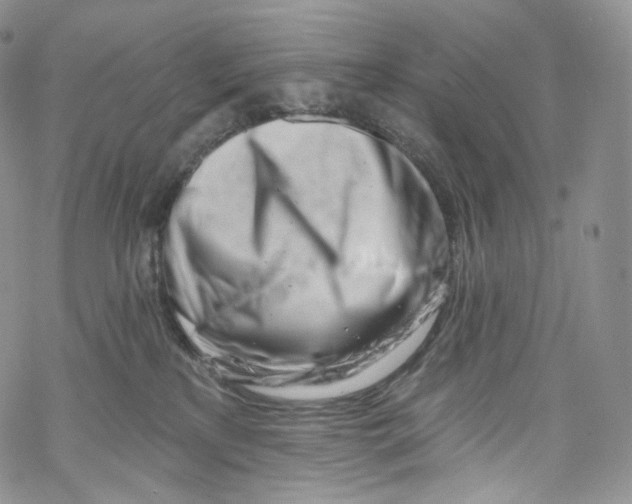 X0000069360233200606021501