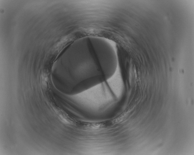 X0000069360235200606021501