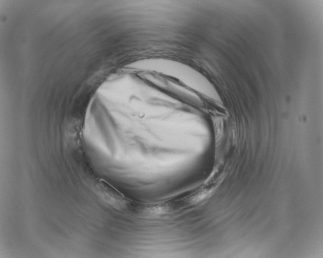 X0000069360237200606021501