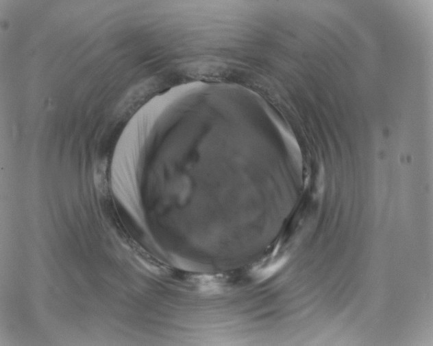 X0000069360239200606021501