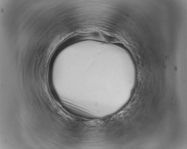 X0000069360241200606021500