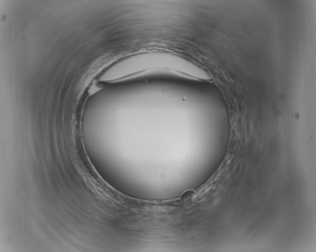 X0000069360242200606021500