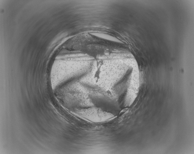 X0000069360243200606021500