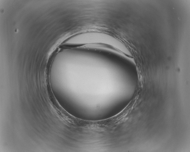 X0000069360244200606021500