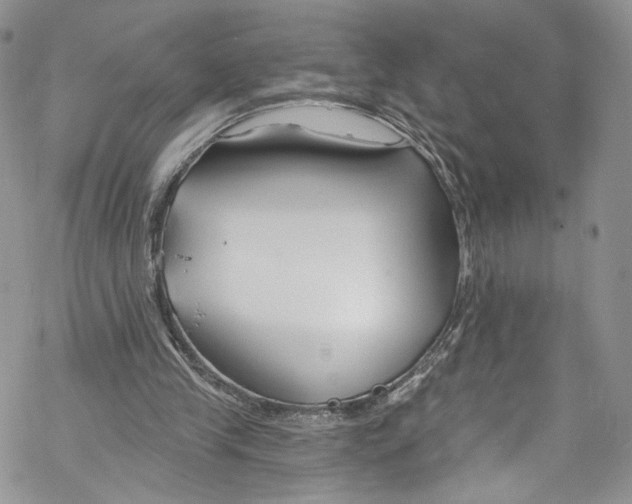 X0000069360245200606021500