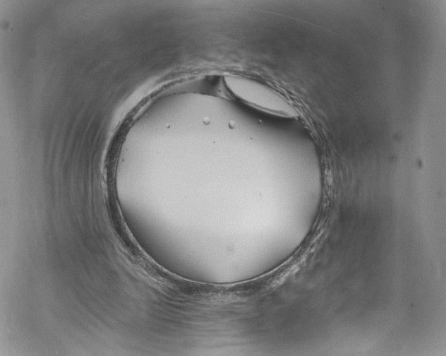 X0000069360246200606021500