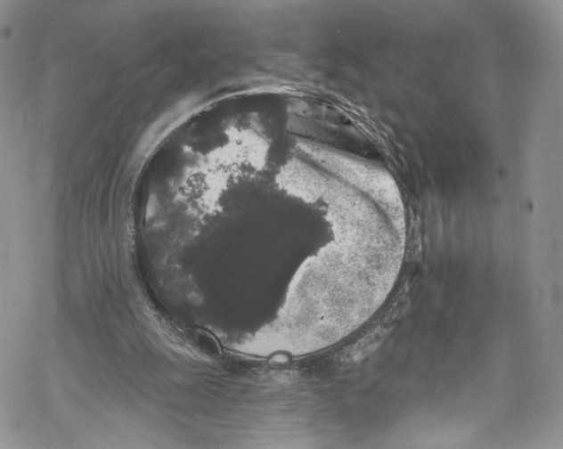 X0000069360247200606021500