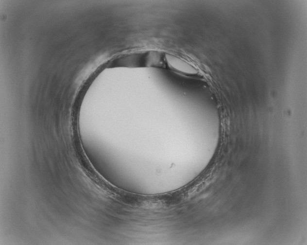 X0000069360248200606021500