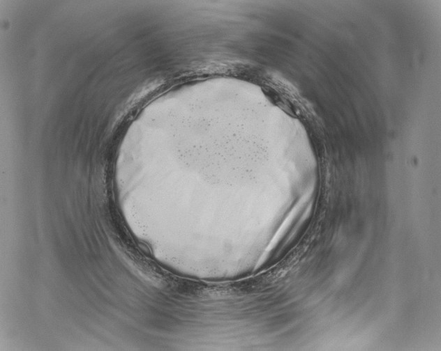 X0000069360250200606021500