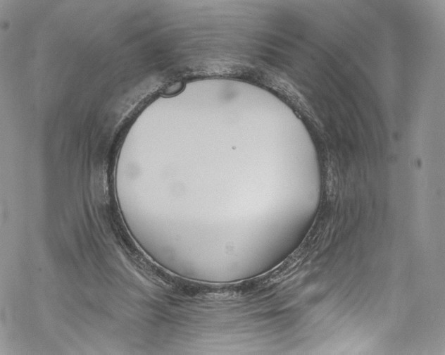 X0000069360251200606021500