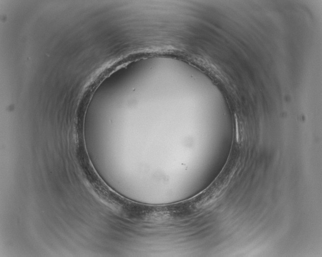 X0000069360252200606021500