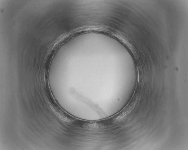 X0000069360253200606021500