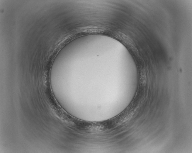 X0000069360255200606021500