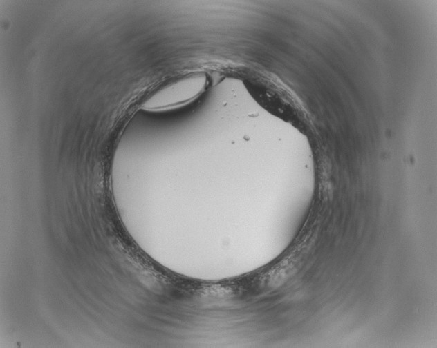 X0000069360257200606021500