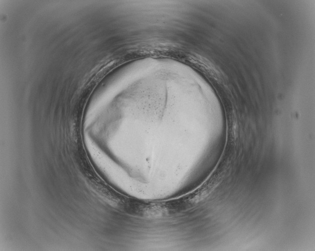 X0000069360258200606021500