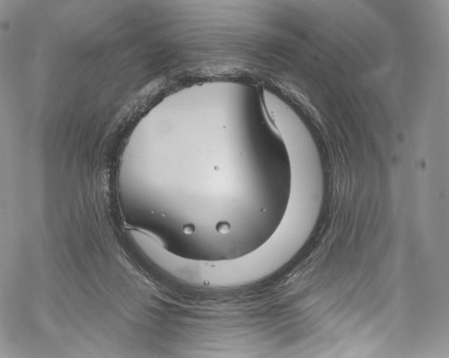 X0000069360260200606021500