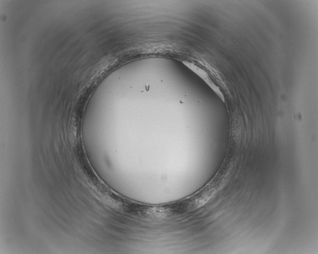 X0000069360261200606021500