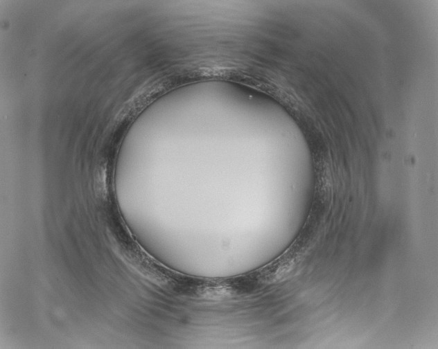 X0000069360262200606021500