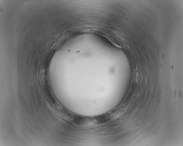 X0000069360263200606021500