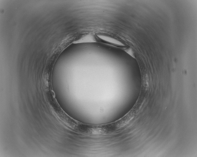 X0000069360264200606021500