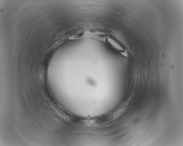 X0000069360265200606021500