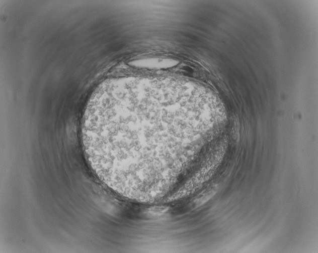 X0000069360269200606021500