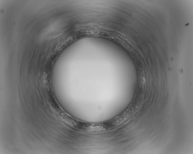 X0000069360270200606021500