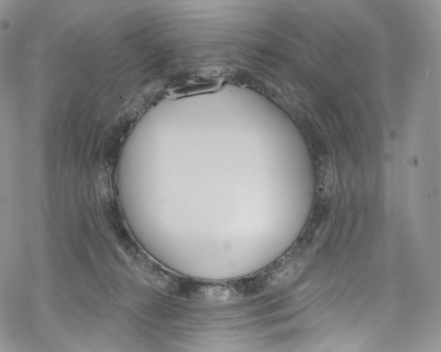 X0000069360272200606021500