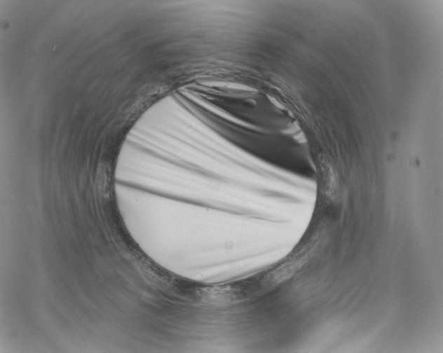 X0000069360273200606021500