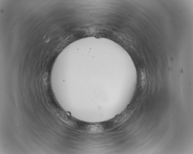 X0000069360275200606021500