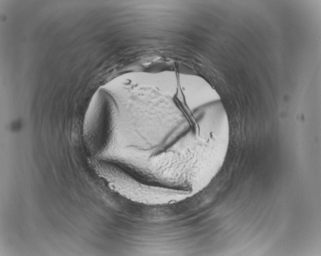 X0000069360277200606021500