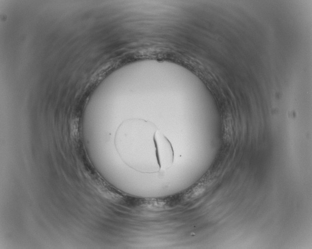 X0000069360278200606021500